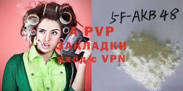 прущие грибы Дмитров