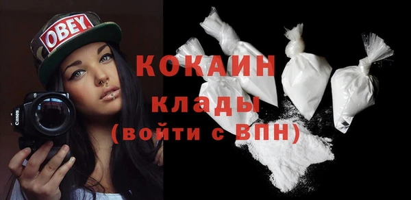 прущие грибы Дмитров