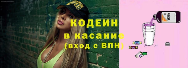 прущие грибы Дмитров