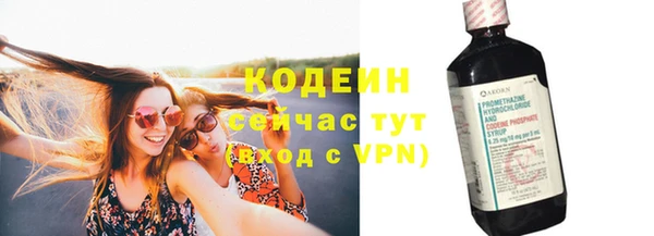прущие грибы Дмитров