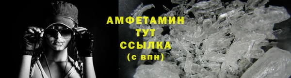 прущие грибы Дмитров