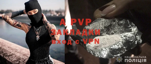 прущие грибы Дмитров